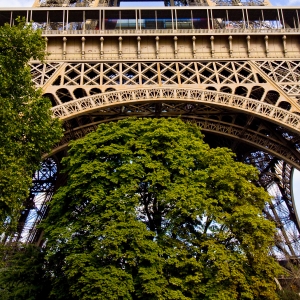 Tour Eiffel en automne